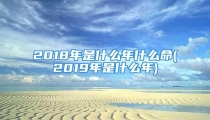 2018年是什么年什么命(2019年是什么年)