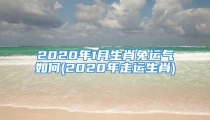 2020年1月生肖兔运气如何(2020年走运生肖)