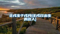 壬戌生于戌月(壬戌日出生的名人)