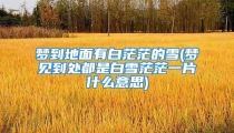 梦到地面有白茫茫的雪(梦见到处都是白雪茫茫一片什么意思)