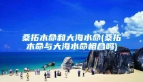 桑拓木命和大海水命(桑拓木命与大海水命相合吗)