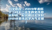 八字取名：2019年农历十二月十二出生的女孩命运好吗，起名用什么字好(2018女孩名字大气文雅)