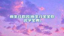 新生儿取名(新生儿宝宝取名字宝典)