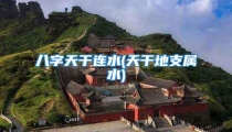八字天干连水(天干地支属水)