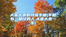 大富大贵的特殊手相(手相有三角纹的人,大富大贵一生)