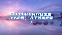 2004年10月17日出生什么命男(“儿子涉黑犯罪)