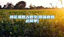 梅花易数占数字(周易竟如此简单)