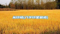 从印格(八字印星破格)