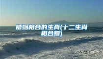 婚姻相合的生肖(十二生肖相合婚)