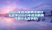 2021年姓刘的男孩取什么名字(2021年姓刘的男孩取什么名字好)