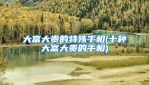 大富大贵的特殊手相(十种大富大贵的手相)