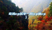 吃鸡cp名字一对(cp就cp)