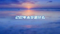 己巳年太岁是什么