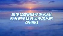 梅花易数测怀孕怎么测(苏有朋节目喊话小虎队成员约饭)
