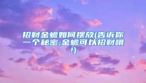 招财金蟾如何摆放(告诉你一个秘密,金蟾可以招财哦!)