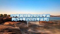54年属马女2020年运势(54年2021年运势)