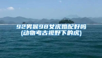 92男猴98女虎婚配好吗(动物考古视野下的虎)