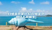 白蜡金命是什么(白蜡金命和什么命相生)