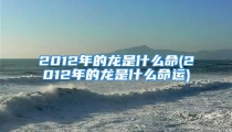 2012年的龙是什么命(2012年的龙是什么命运)