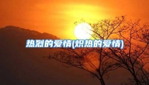 热烈的爱情(炽热的爱情)