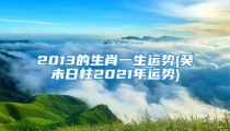 2013的生肖一生运势(癸未日柱2021年运势)