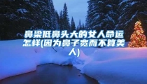 鼻梁低鼻头大的女人命运怎样(因为鼻子宽而不算美人)