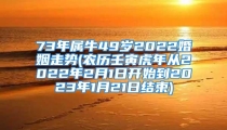 73年属牛49岁2022婚姻走势(农历壬寅虎年从2022年2月1日开始到2023年1月21日结束)