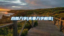合婚八字(夫妻八字相生)