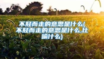 不胫而走的意思是什么(不胫而走的意思是什么,比喻什么)