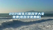 2021新生儿取名字大全免费(取名字免费版)