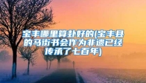 宝丰哪里算卦好的(宝丰县的马街书会作为非遗已经传承了七百年)