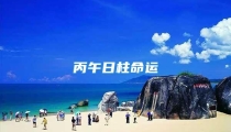 丙午日柱命运