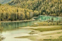 属蛇和属猪合不合(属猪的属猪合不合)