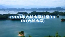 1988年大林木命缺金(1988大林木命)