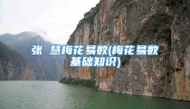 张赟慧梅花易数(梅花易数基础知识)