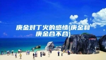 庚金对丁火的感情(庚金和庚金合不合)