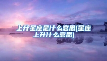 上升星座是什么意思(星座上升什么意思)