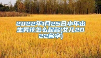 2022年1月25日小年出生男孩怎么起名(女儿2022名字)