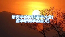 带奥字的男孩名字大全(名字带奥字的含义)