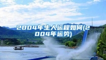 2004年生人运程如何(2004年运势)