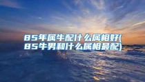 85年属牛配什么属相好(85牛男和什么属相最配)