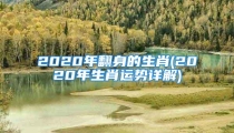 2020年翻身的生肖(2020年生肖运势详解)