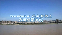 freehoro 八字(你的上升星座是什么)