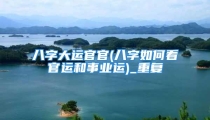 八字大运官官(八字如何看官运和事业运)_重复