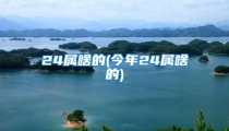 24属啥的(今年24属啥的)