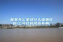 属猴办公室放什么植物旺财(公司旺财风水布局)