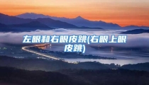 左眼和右眼皮跳(右眼上眼皮跳)