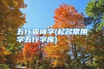 五行查询字(起名常用字五行字库)