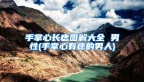 手掌心长痣图解大全 男性(手掌心有痣的男人)
