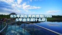 65年属蛇男的婚姻(1965年出生是什么命)